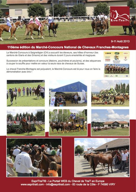 Marché Concours Saignelégier 2013