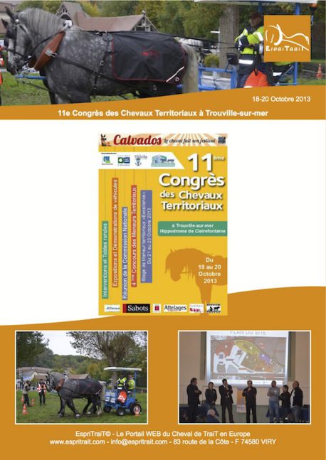 11e Congrès des Chevaux Territoriaux