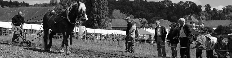 Bio-Agri